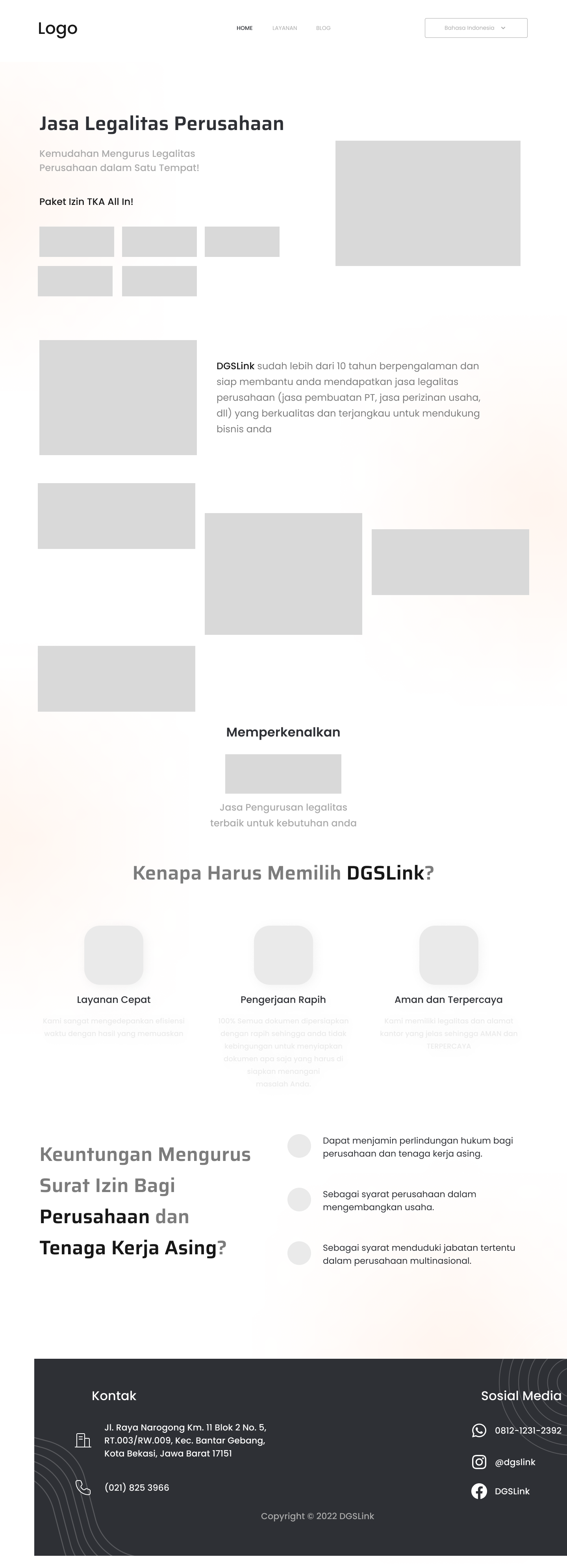 DGSLink Wireframe