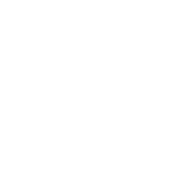 Wordpress's Icon